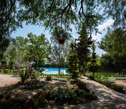 Sendero del jardín con árboles y maceteros colgantes en la villa Hotel El Porvenir de Querétaro, México, con vista a la piscina