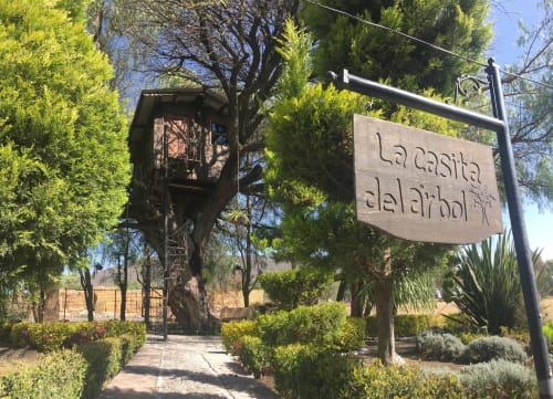 Entrada a la villa cabaña La Casita del Árbol en Hotel El Porvenir, Querétaro, con vistas al jardín y camino de madera