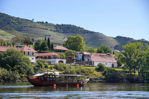 Edifícios tradicionais de telhados vermelhos de Tomás Barqueiro com vista para o Rio Douro em Folgosa, Portugal, com vinhedos em socalcos