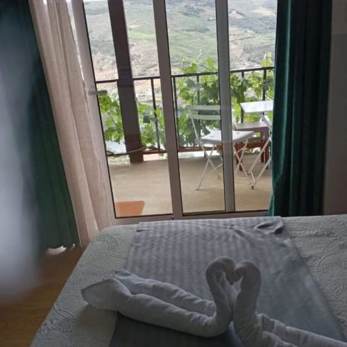Vista do quarto em Tomás Barqueiro no Douro com varanda, paisagem de vale, plantas trepadeiras e toalhas decorativas