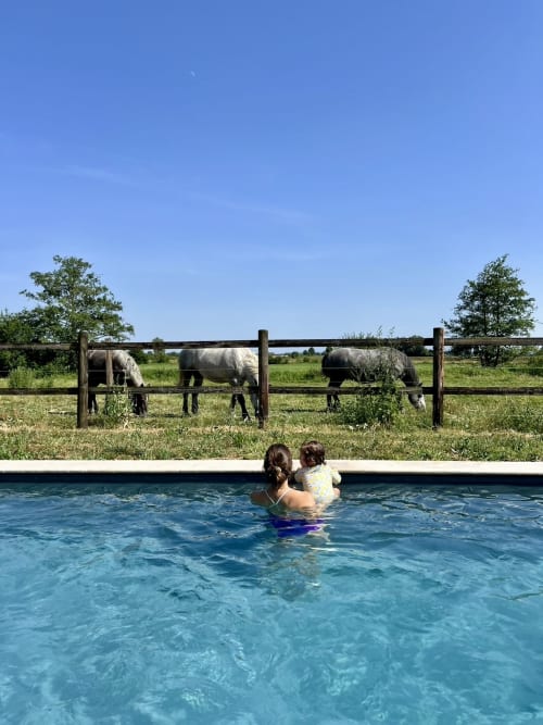 Femme et enfant se baignant dans la piscine avec vue sur les chevaux paissant à Maisons Noisette, Saint-Pierre-des-Ormes