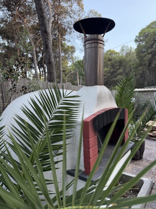 Moderna struttura in stucco con tetto in metallo scuro e porta d'ingresso rossa, circondata da fronde di palma e alberi presso Zappy Domus