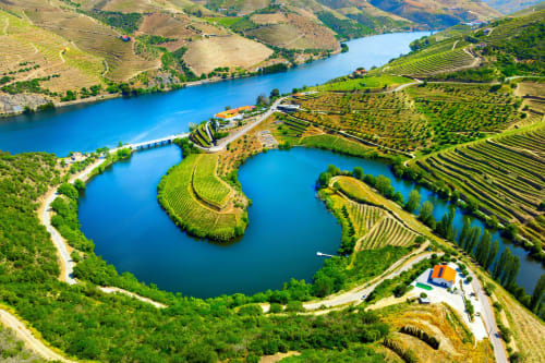 Vista aérea dos vinhedos do Douro e rio azul perto do Porto, Portugal com campos de vinha em socalcos