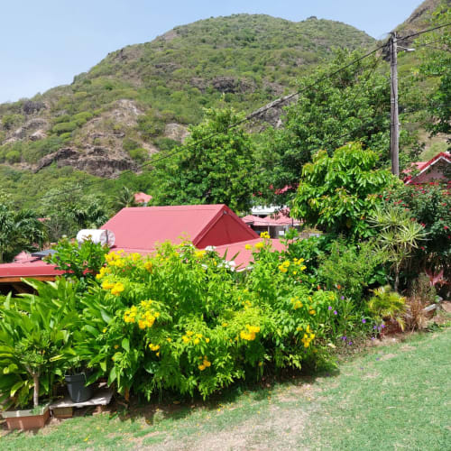 Bungalow aux toits rouges colorés entouré de fleurs jaunes et de végétation luxuriante aux Saintes, Guadeloupe