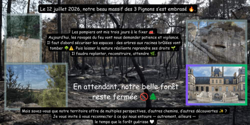 Message de récupération des incendies de forêt de Maisons Des Passereaux avec paysages boisés brûlés et château, Le Vaudoué