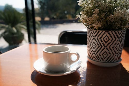 Taza de café cerámica con plato y planta decorativa en maceta sobre mesa exterior del Hotel El Porvenir, Querétaro con vista al agua