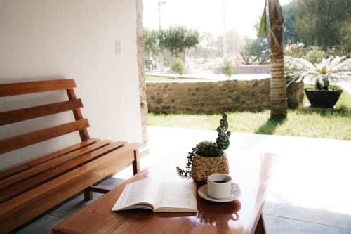 Tranquila terraza del Hotel El Porvenir con banco de madera, libro abierto, taza de café y cactus en maceta con vistas al jardín