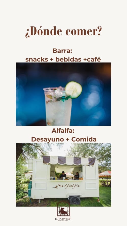 Opciones gastronómicas del hotel El Porvenir: Barra cocktail bar y food truck Alfalfa en Querétaro