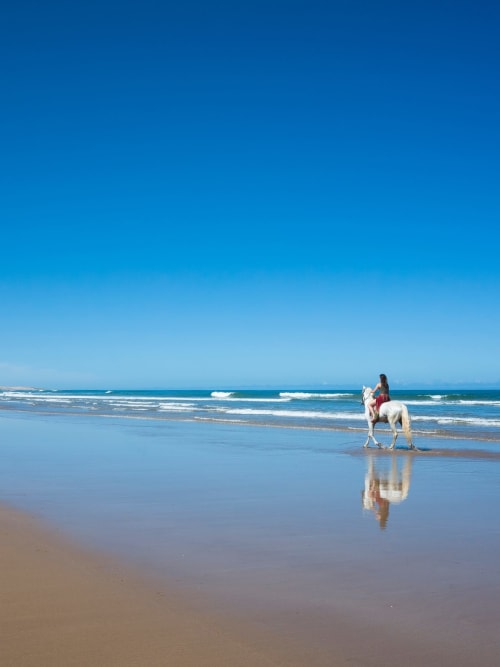 Femme à cheval blanc sur une plage immaculée, ciel bleu clair et vagues, hébergement Villa Triskel