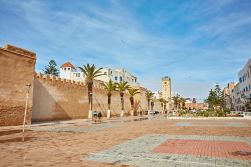 Murs historiques de la médina avec palmiers et architecture traditionnelle à Essaouira, Maroc