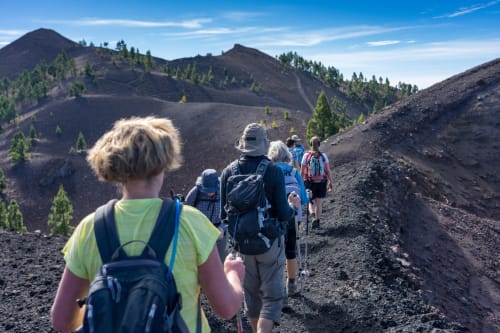Grupo de senderistas caminando en terreno volcánico con conos boscosos, La Palma