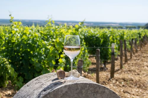 Verre de vin blanc sur pierre avec vue sur les vignes de Bellechaume, Bourgogne près de Madiana 89 BnB