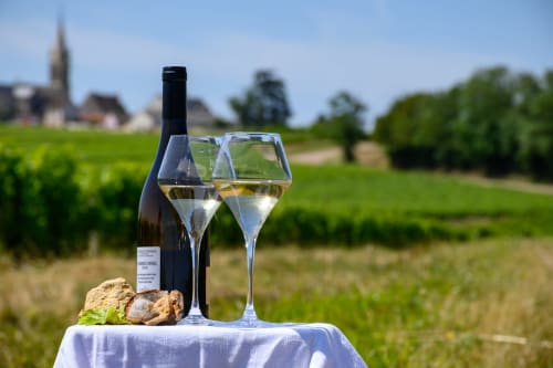 Dégustation de vins à Madiana 89 avec vue sur les vignobles de Bellechaume, France
