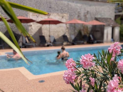 Des fleurs roses encadrent la piscine ensoleillée du Domaine de La Poule Noire avec transats et parasols