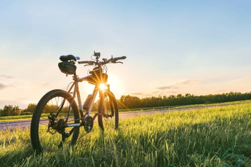 Vélo dans un champ de lavande en fleur au coucher de soleil près du gîte Madiana 89 B&B, Bellechaume
