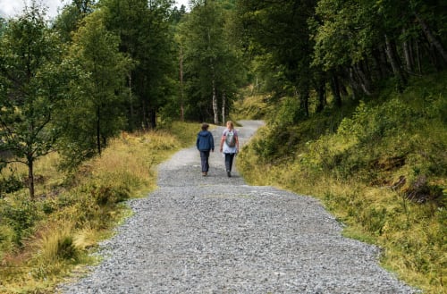 Deux randonneurs sur un chemin forestier de gravier près du gîte Madiana 89 à Bellechaume, France