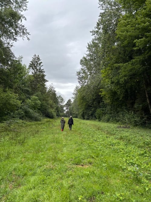 Deux personnes marchant dans une prairie verdoyante bordée d'arbres aux Lodges de la Ferme de la Chaise