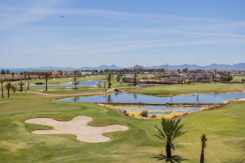 Scenic golf course with palm trees, water hazards, and mountains in San Pedro del Pinatar, Spain