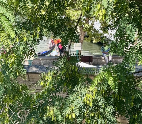 Gondole sur le canal d'Aveiro vue depuis le balcon de l'hôtel RIA CENTRUM à travers le feuillage vert