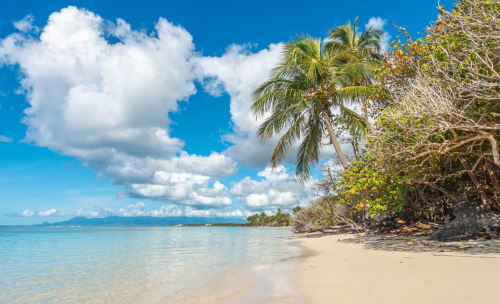Plage tropicale immaculée à Sainte-Anne, Guadeloupe avec eaux turquoise, palmiers et nuages blancs