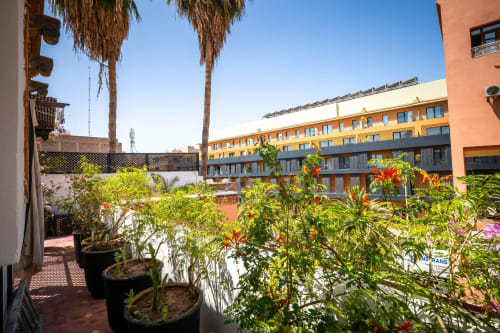 Terrasse-jardin sur le toit de la Villa El Gada à Marrakech avec fleurs en pots, palmiers et immeubles résidentiels colorés