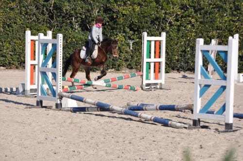 Cavaliere su cavallo marrone salta ostacoli colorati presso struttura equestre vicino Roma