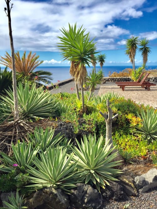 Jardín tropical con palmeras y vistas al mar en la villa La Palma, Islas Canarias