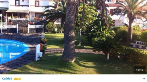 Vista del jardín de La Palma entre viñas con palmeras, piscina azul, césped verde y apartamentos de estilo español en Los Cancajos