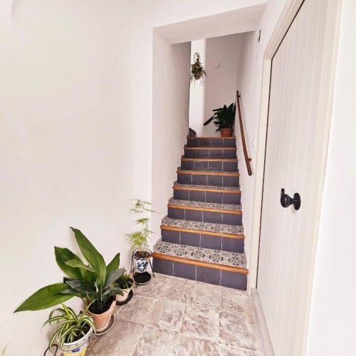 Escalera de peldaños oscuros con molduras de madera ascendiendo en el apartamento Casa De La Cruz Vejer, flanqueada por plantas en macetas