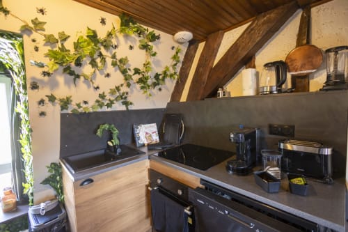 Kitchenette moderne à L'école des sorciers d'Accolade à Châteaudun avec comptoirs sombres, poutres en bois et lierre décoratif