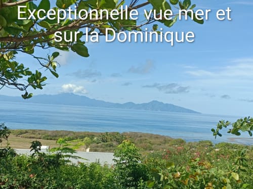 Vue exceptionnelle sur la mer depuis Aux Colibris Amoureux en Guadeloupe avec jardin tropical luxuriant et vue sur les montagnes