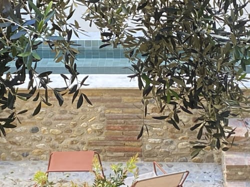 Ramas de olivo con terraza de piedra, decoración de madera y edificio de cristal en La Vieille Demeure B&B en Torreilles