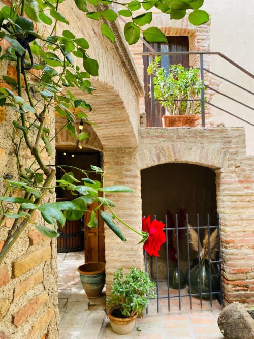 Encantador patio de piedra en La Vieille Demeure en Torreilles con plantas en maceta, flores rojas y puertas arqueadas