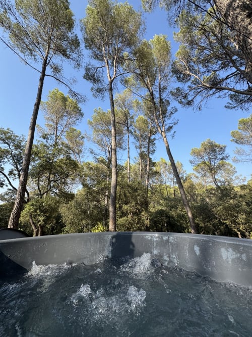 Jacuzzi entouré de grands pins au Domaine d'Olga, un charmant gîte à Aniane, France