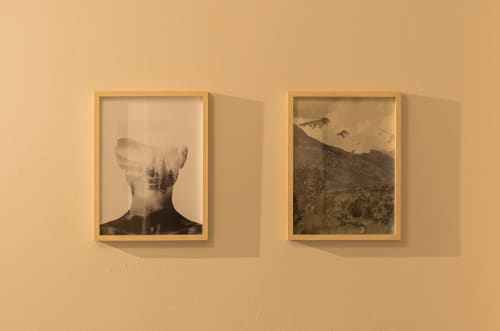 Due opere d'arte a doppia esposizione incorniciate con paesaggi di foreste e montagne su una parete beige presso Le Alpi bed & living