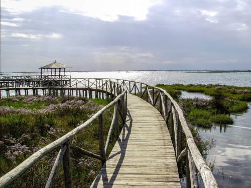 Passerella in legno con ringhiere che conduce a una gazebo attraverso le paludi presso Casa Mia B&B, Porto Viro