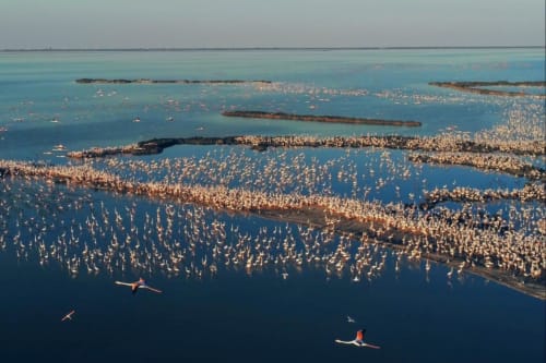 Vista aerea di kayaker e nuotatori nelle acque turchesi dell'Adriatico vicino a Porto Viro, Italia