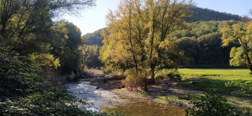 Paesaggio pittoresco lungo il fiume a Il Poggio di Musignano con alberi d'oro autunnale e prato erboso vicino a Canino, Italia