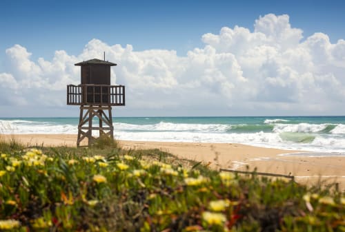 Torre de vigilancia de madera en playa arenosa con olas y flores silvestres amarillas en Casa De La Cruz Vejer, España
