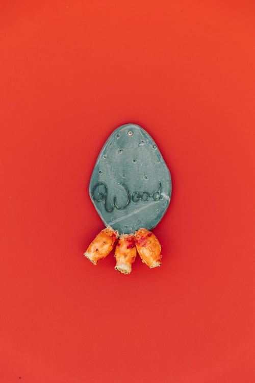 Decorative stone egg with 'Wood' text and orange cactus flowers on red background at Tenuta Fascianello, Fasano