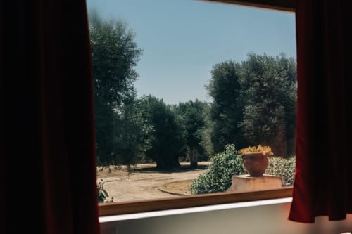 Vista dalla Floral Sun Room di Tenuta Fascianello, Fasano, con vista su vaso di terracotta e uliveti