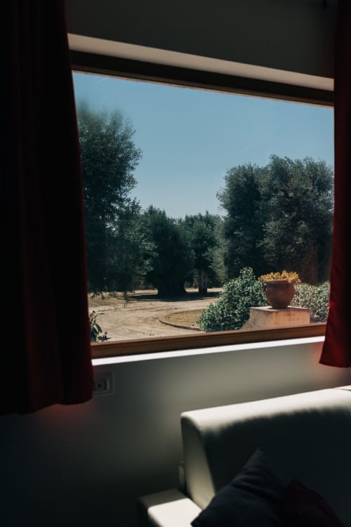 Vista dalla Sala Solare Floreale della Tenuta Fascianello di Fasano, con giardini paesaggistici, vasi in terracotta e ulivi