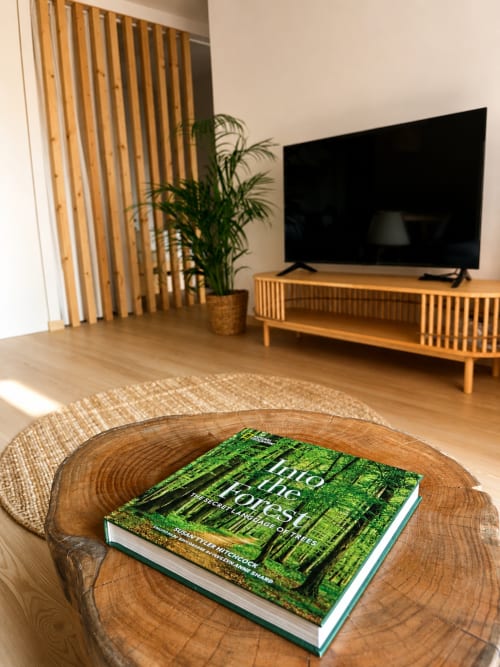 Sala de estar moderna no Terra Clara Studios com móveis de madeira, TV de tela plana, planta em vaso e livro 'Into the Forest'