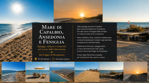 Spiagge costiere della Maremma vicino a Il Poggio di Musignano, Canino Italia - lidi sabbiosi, mare Mediterraneo e tramonti