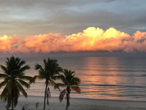 Sunset over ocean with palm trees at El Litoral Wellness Retreat beach in Panama