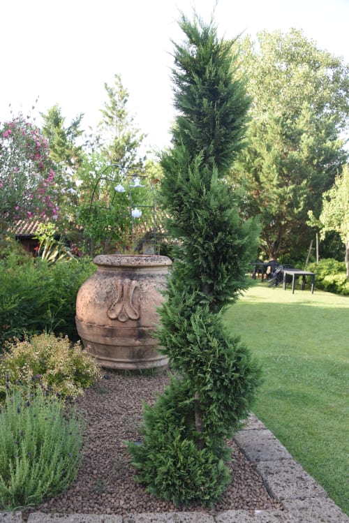 Lush garden at Country House Bosco d'Olmi with ornamental urn, cypress trees, and manicured lawn in Sant'Andrea del