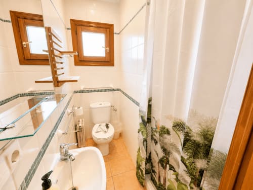 Modern bathroom in Casa Emilia villa at Moraira with sink, toilet, decorative plants, and wooden-framed windows