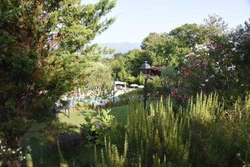 Lush garden view at Country House Bosco d'Olmi with flowering plants, cypress trees, and pool area in Sant'Andrea del