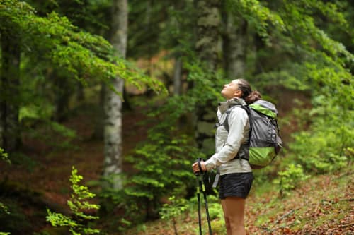 Female hiker with backpack on forest trail at Country House Bosco d'Olmi, Sant'Andrea del Garigliano
