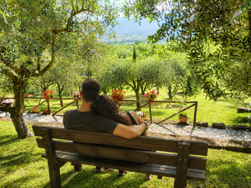 Couple relaxing on bench overlooking olive groves at Country House Bosco d'Olmi in Tuscany